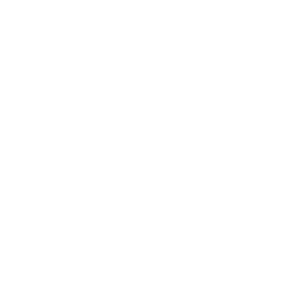 pagolle linkedin